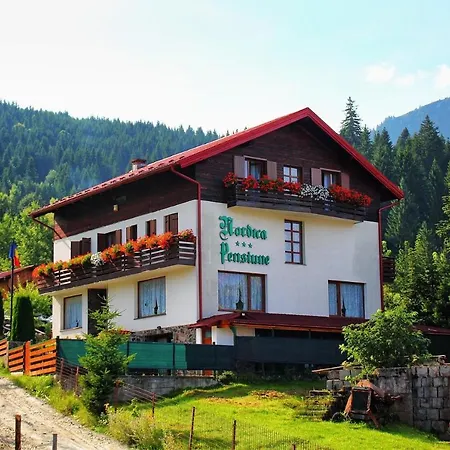 Guest house Pensiunea Nordica Statjunea Borsa