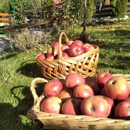 Pensiunea Nordica Guest house Statjunea Borsa